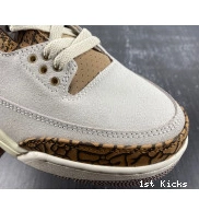 CT8532-102 Jordan Air Palomino 3 0816